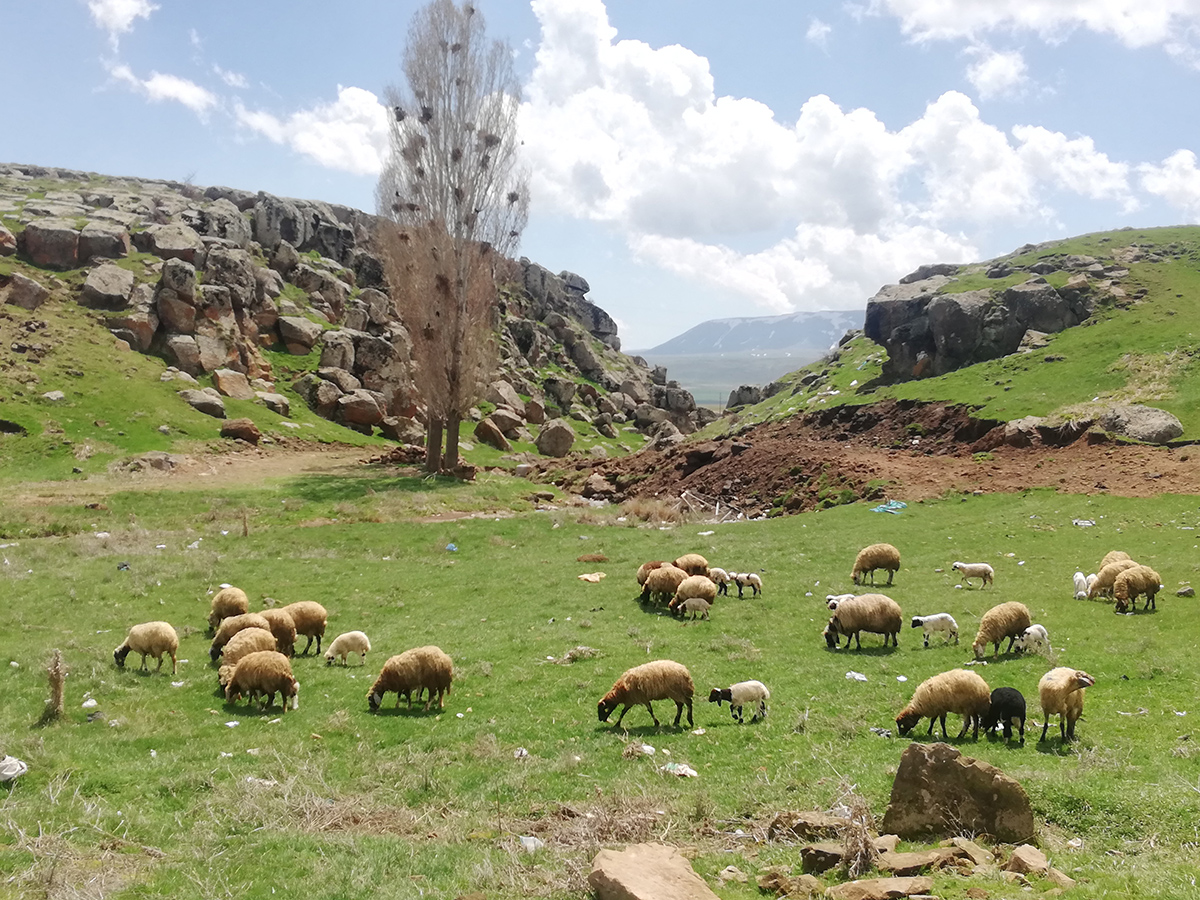 I M G 20250429 115538-1