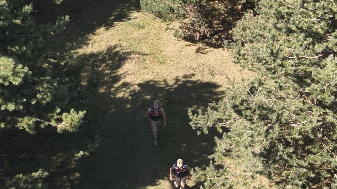 Ardahan’da jandarma ekipleri ormanlık alanlarda denetimlerini sıklaştırdı