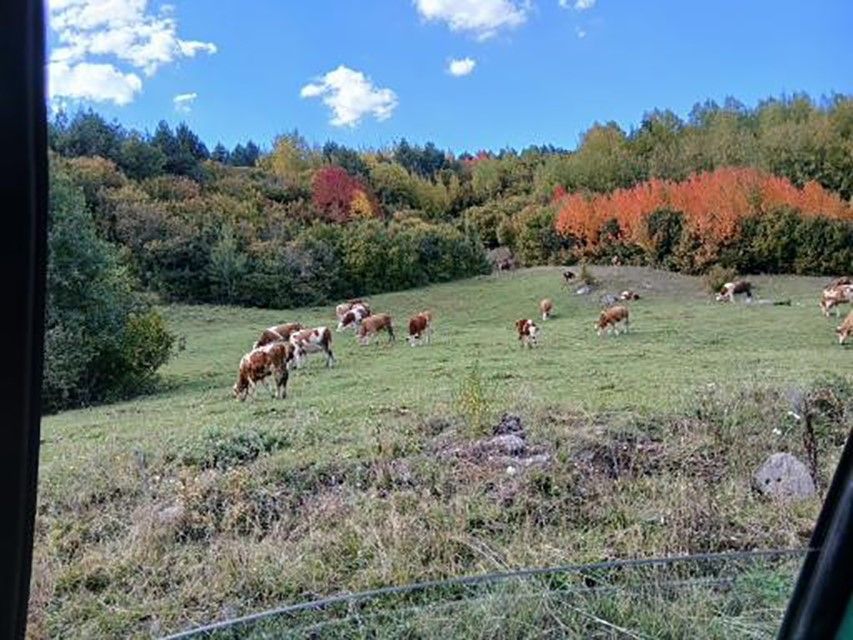 Posof’ta sonbahar güzelliği