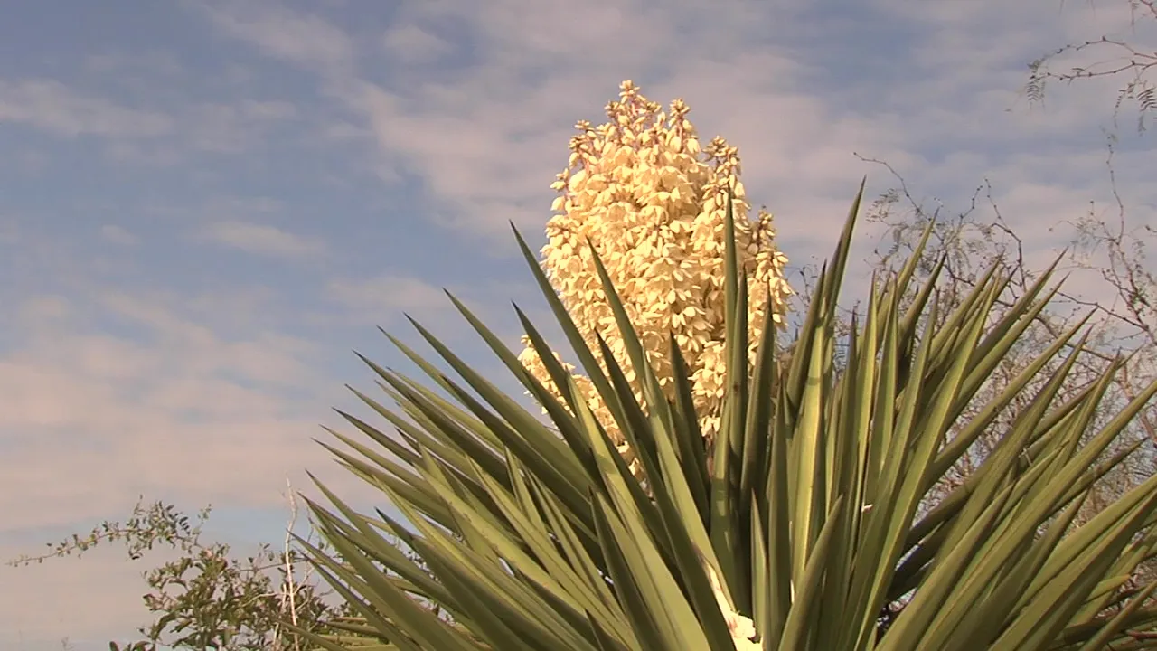 Vlcsnap 2025 01 16 13H54M39S331