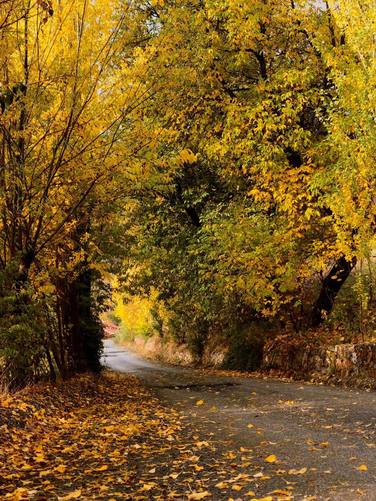 Whatsapp Image 2025 11 18 At 12.43.45 (1)