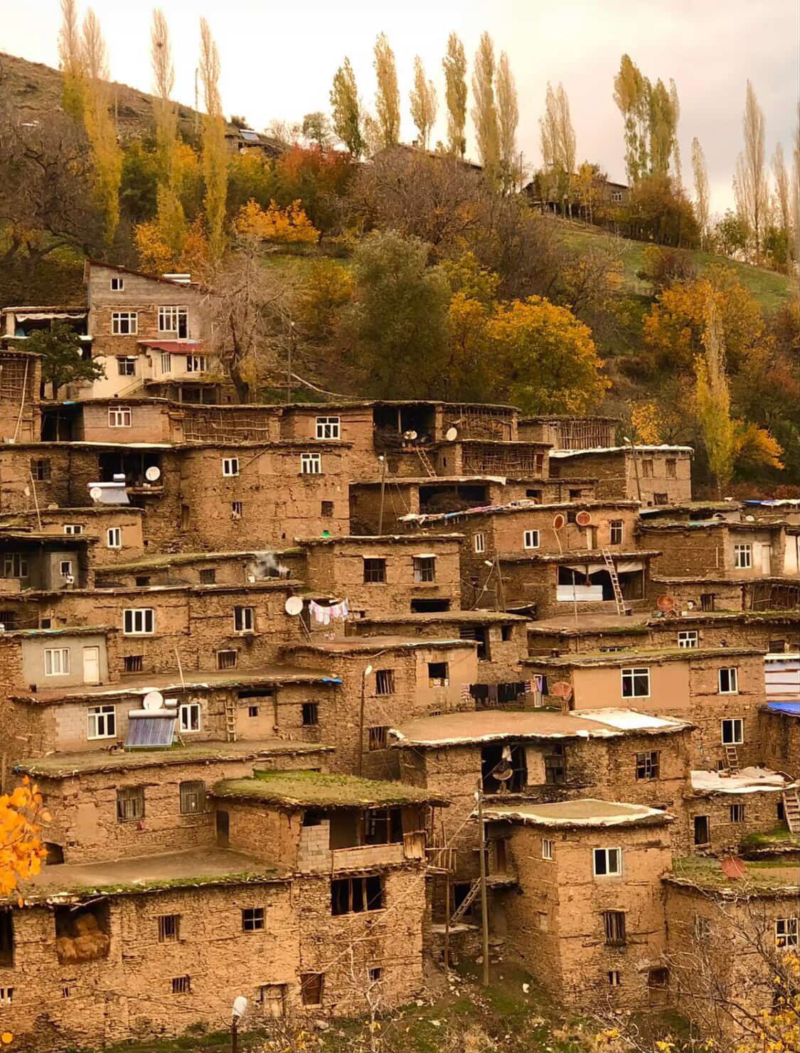 Whatsapp Image 2025 11 18 At 12.43.45 (2)