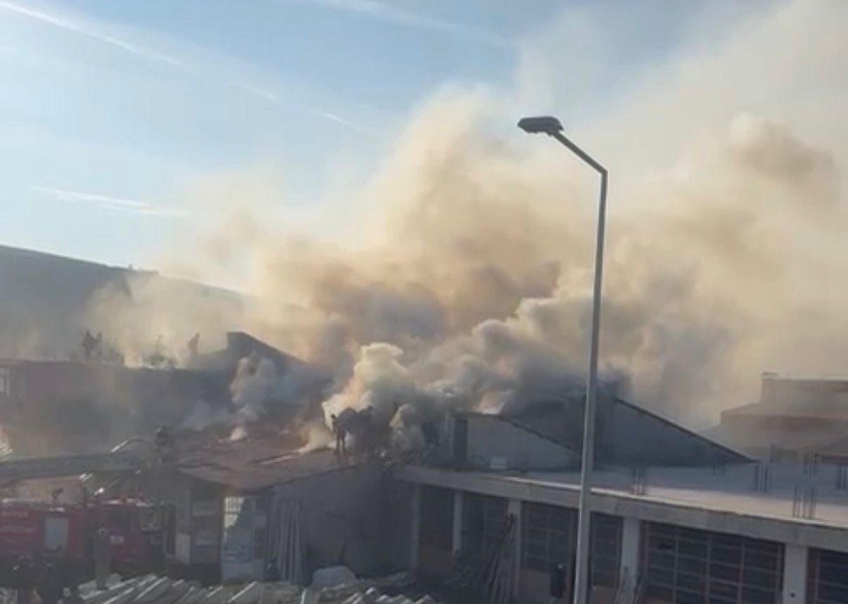 4Adff19D 7508 42Ed 8F4A 7713D05A21Bc