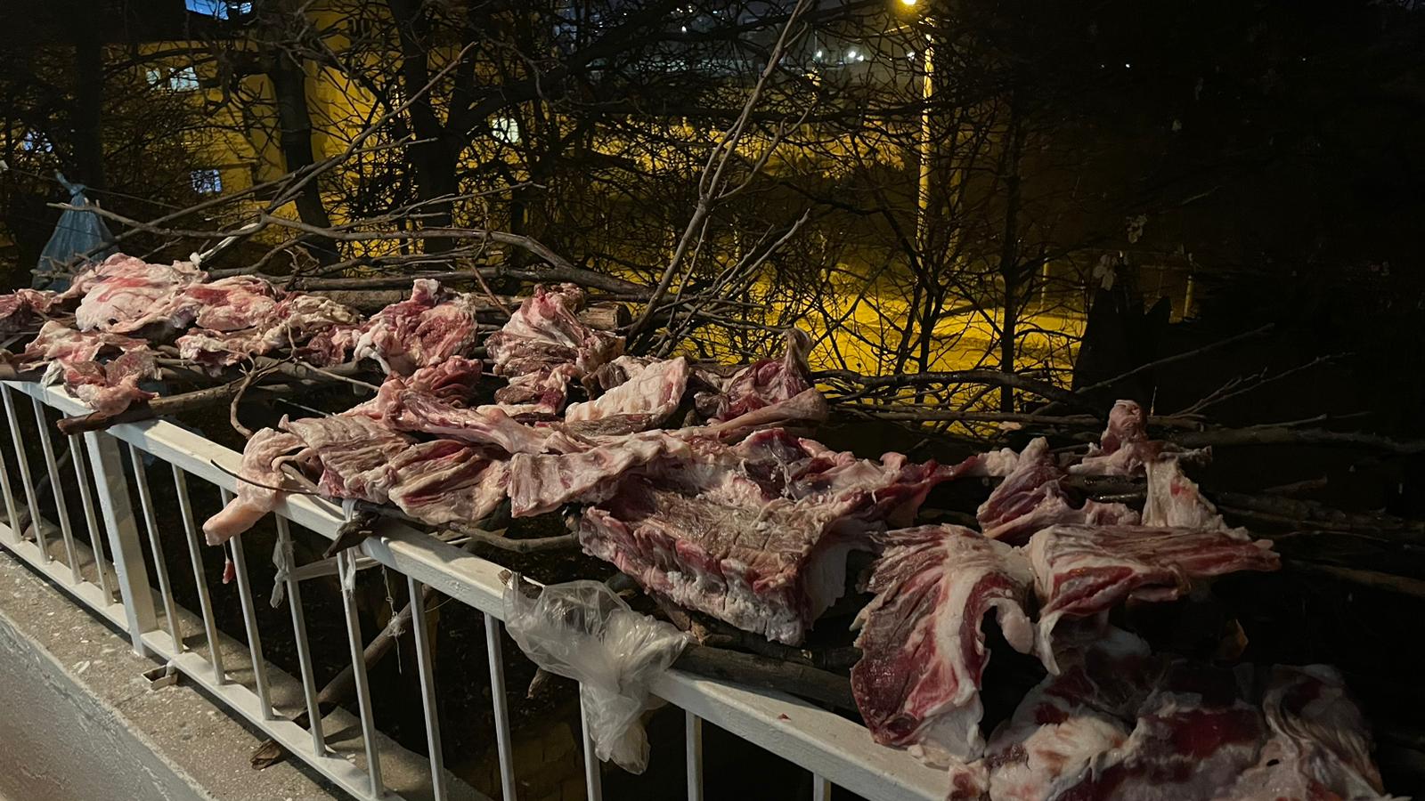 Whatsapp Image 2025 12 06 At 21.13.06 (3)