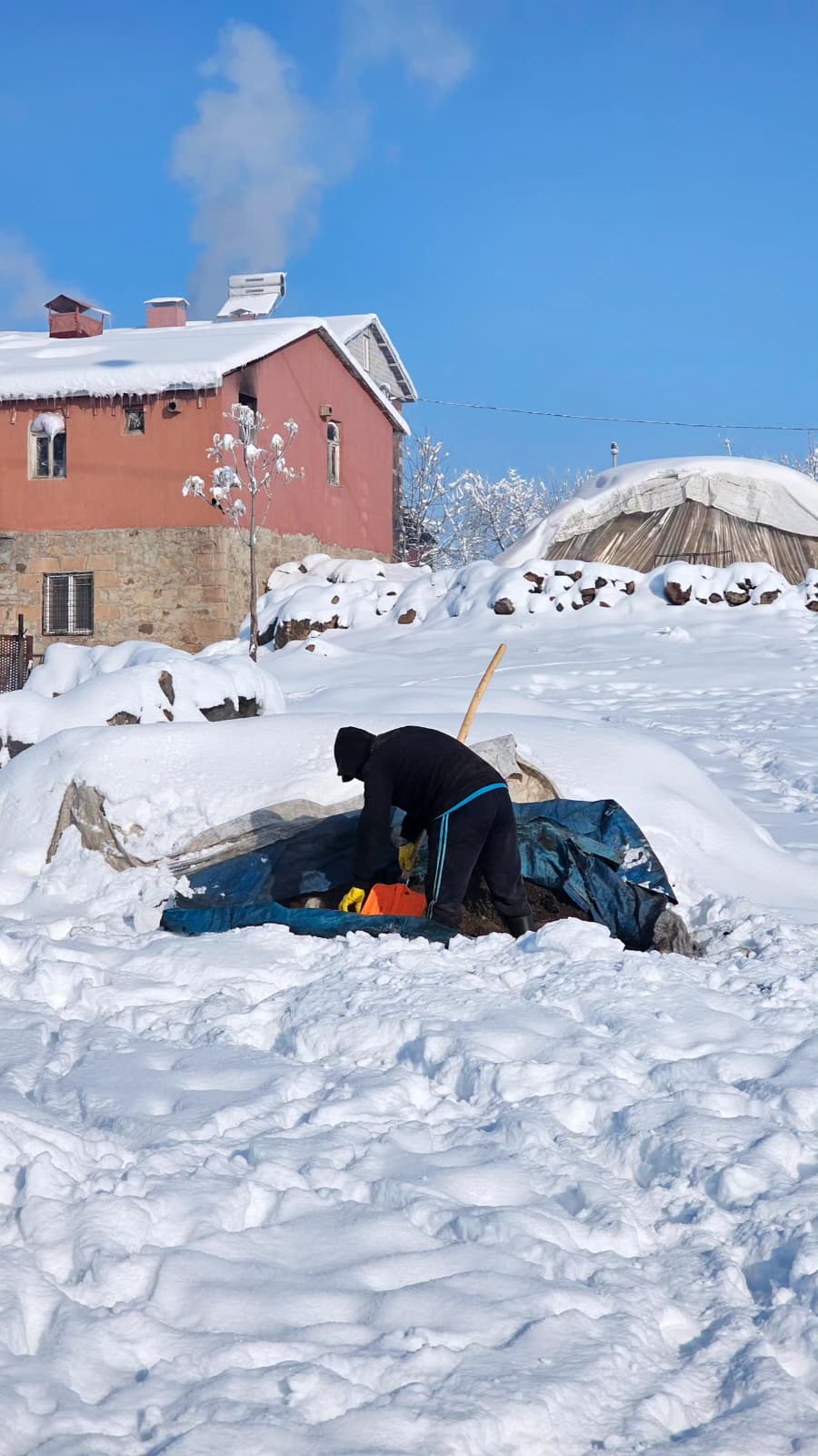 3B690Bbb 74E4 4E37 A9Ba 2968E85F5A53