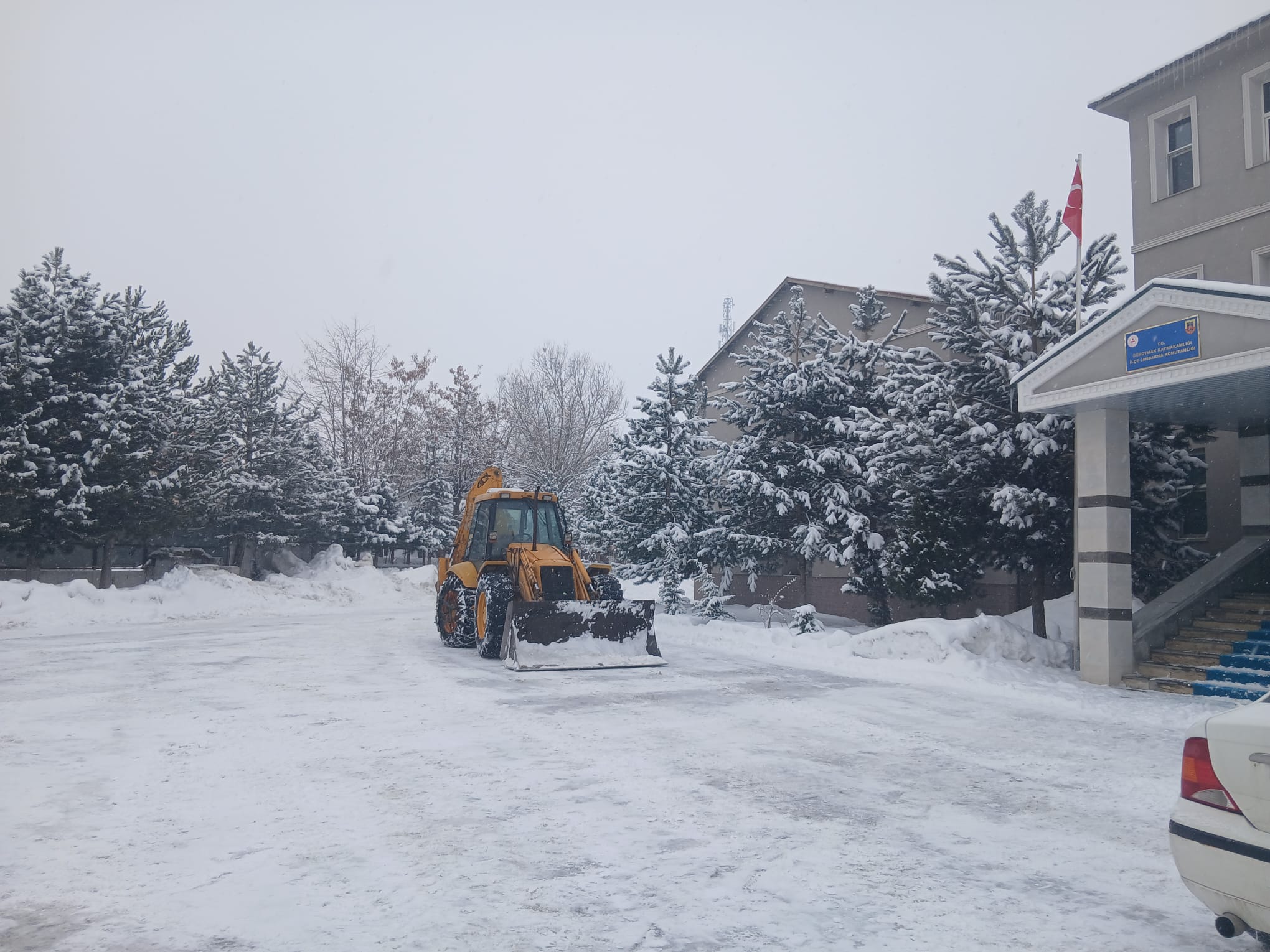 912Be8D3 53Ab 40Bd B226 6D53Ff127F89