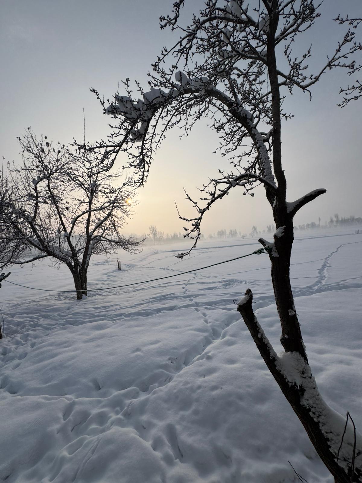 B2Bcc82B A081 4879 B349 E14432C7A116