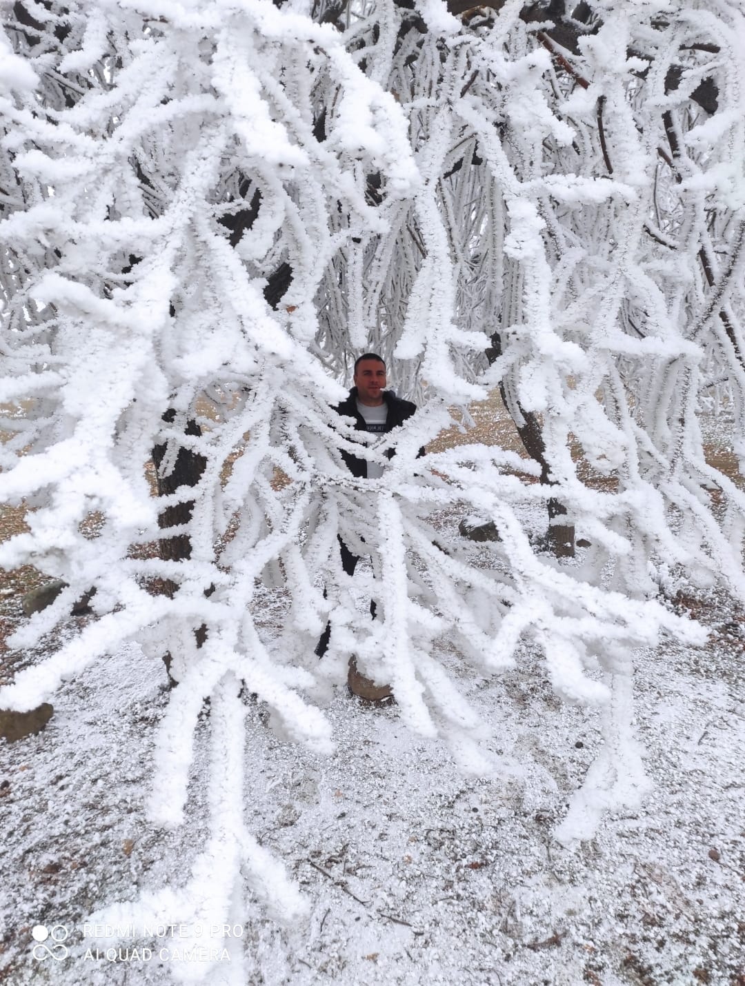 B8B862Da 44Fe 4Db3 9Fa6 B8D45Ff02E64