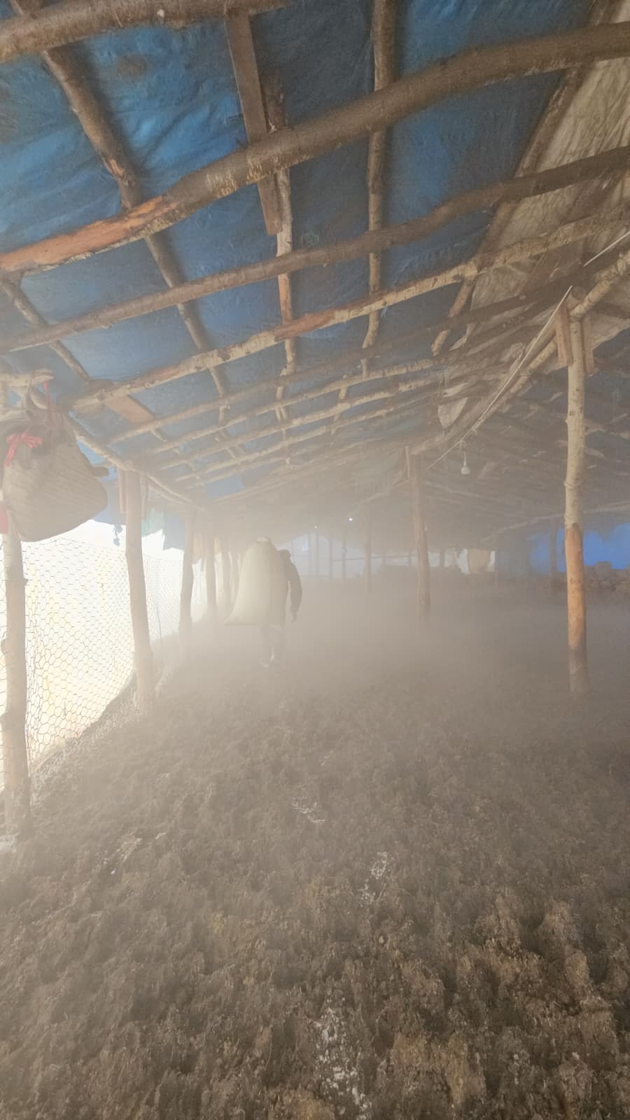 D072B2F2 5Aed 4E67 A25B F3B7Aa2689Bc