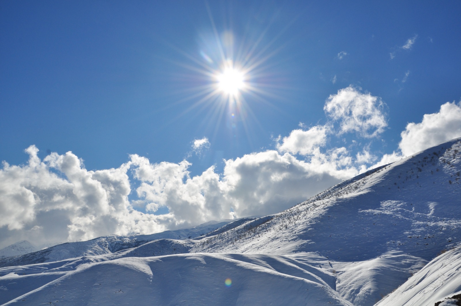 Db752C90 41B0 4671 B4Da 66A0Fa36Fb24