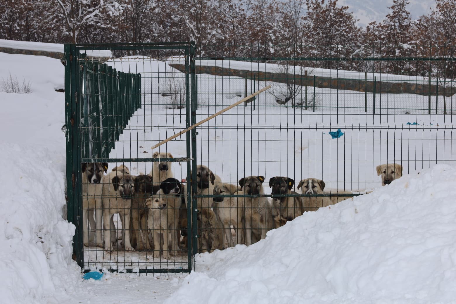 E0Adb327 0Bb9 48A4 B38B 68E08D48872B