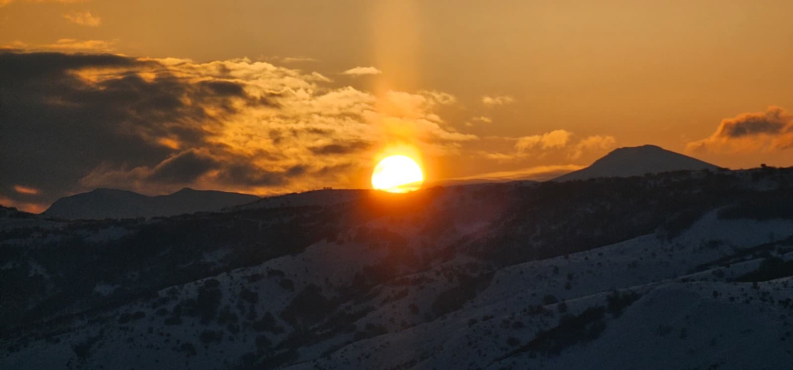 3Fd8A818 79E9 4026 954C 83C35278559B