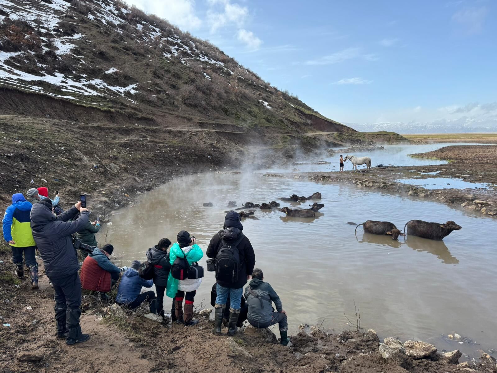 727Af7Cd 6F51 4328 Af99 C5Be76193A71