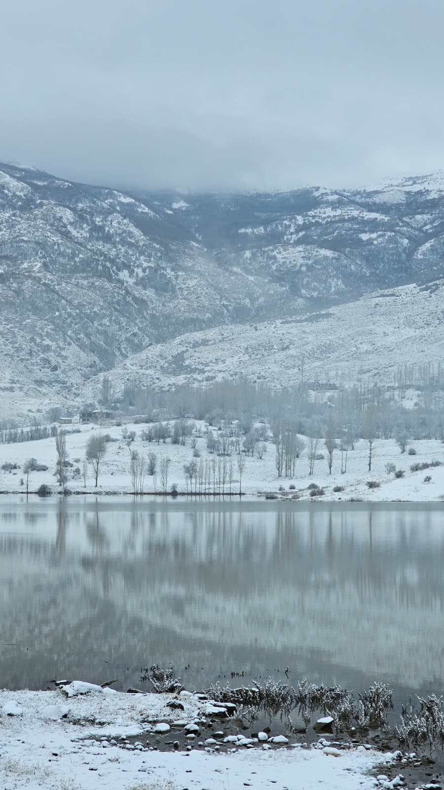 73793029 A805 4C05 95Be 0Ee8Bcfb6384