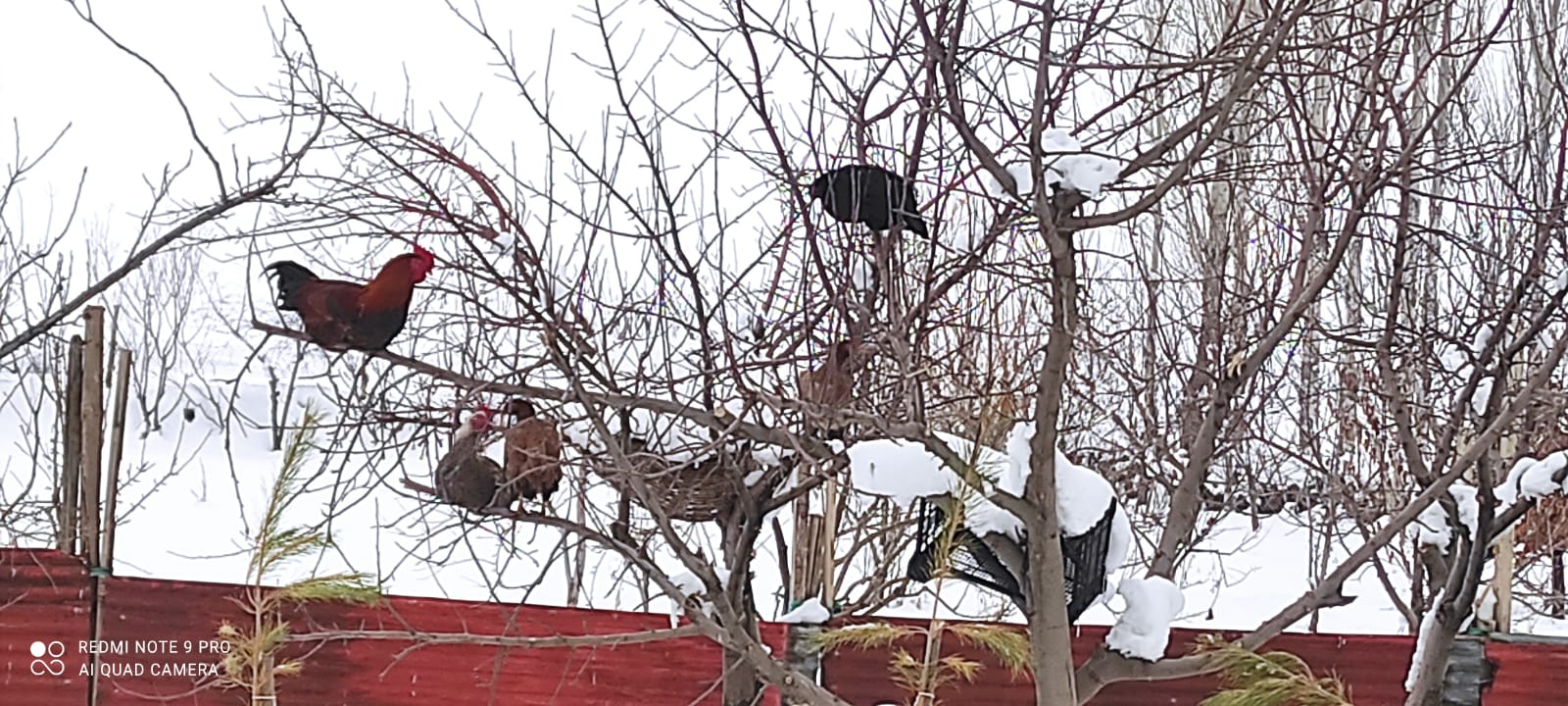 B35F6C75 702A 44Ac Ae60 05D0B97E5206