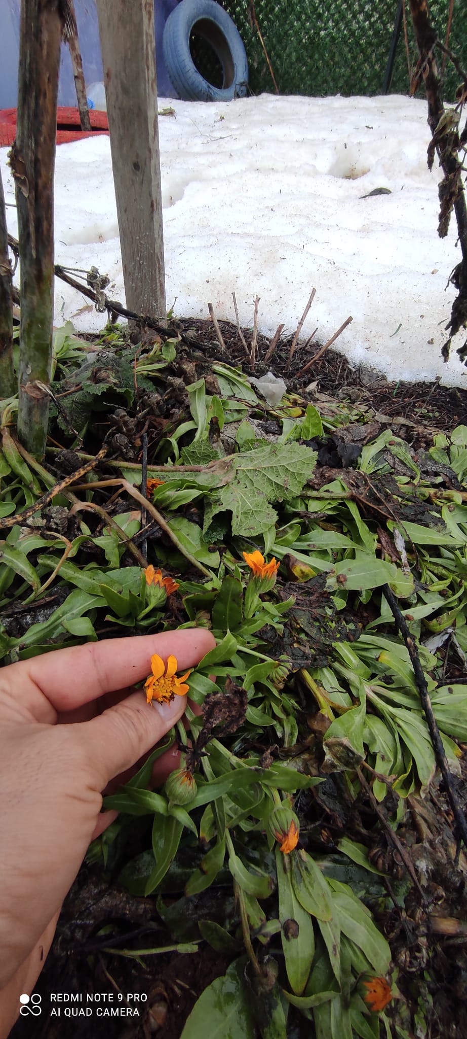 Ec540314 F81B 4Db2 Aae1 95A7A084A551