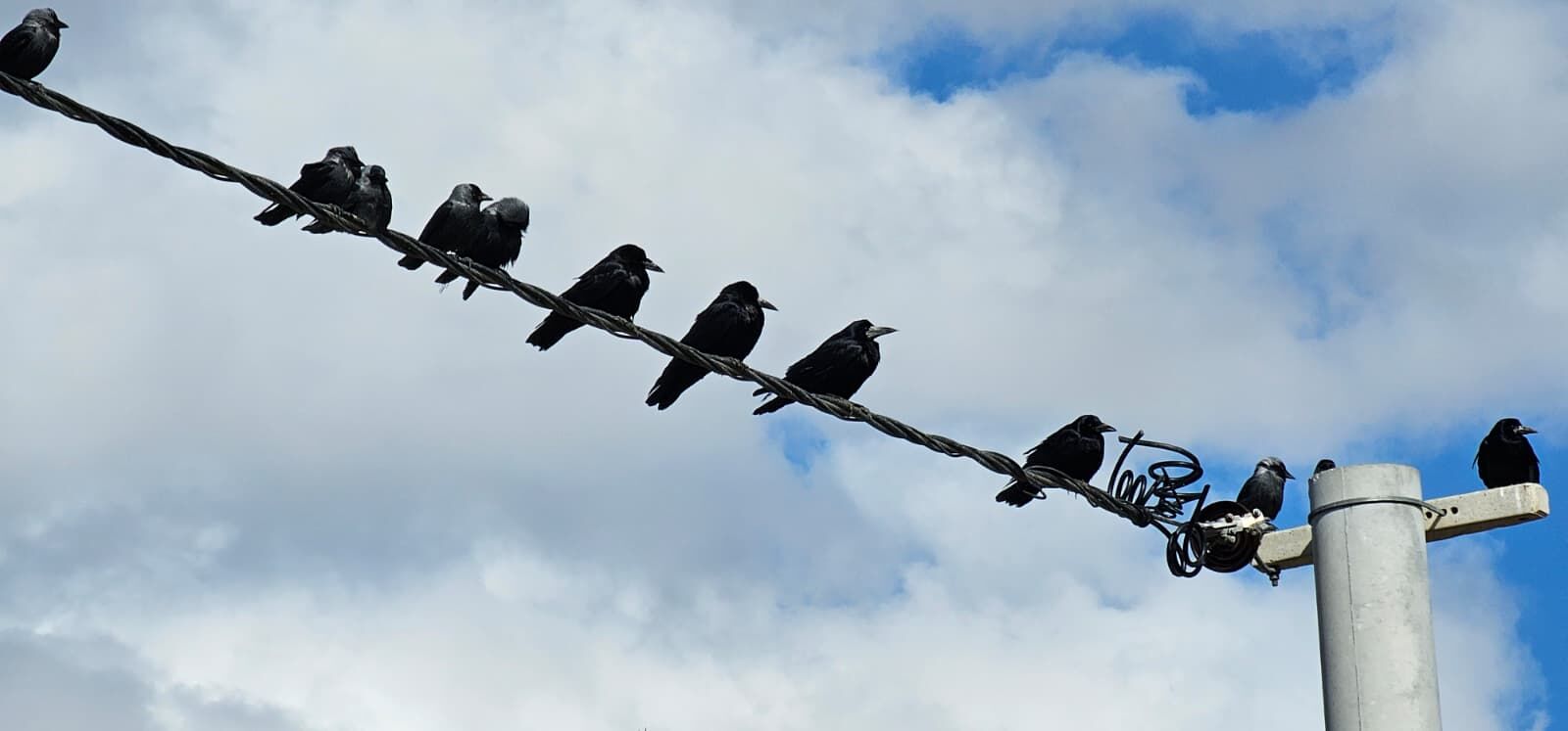 Whatsapp Image 2026 02 28 At 18.36.13