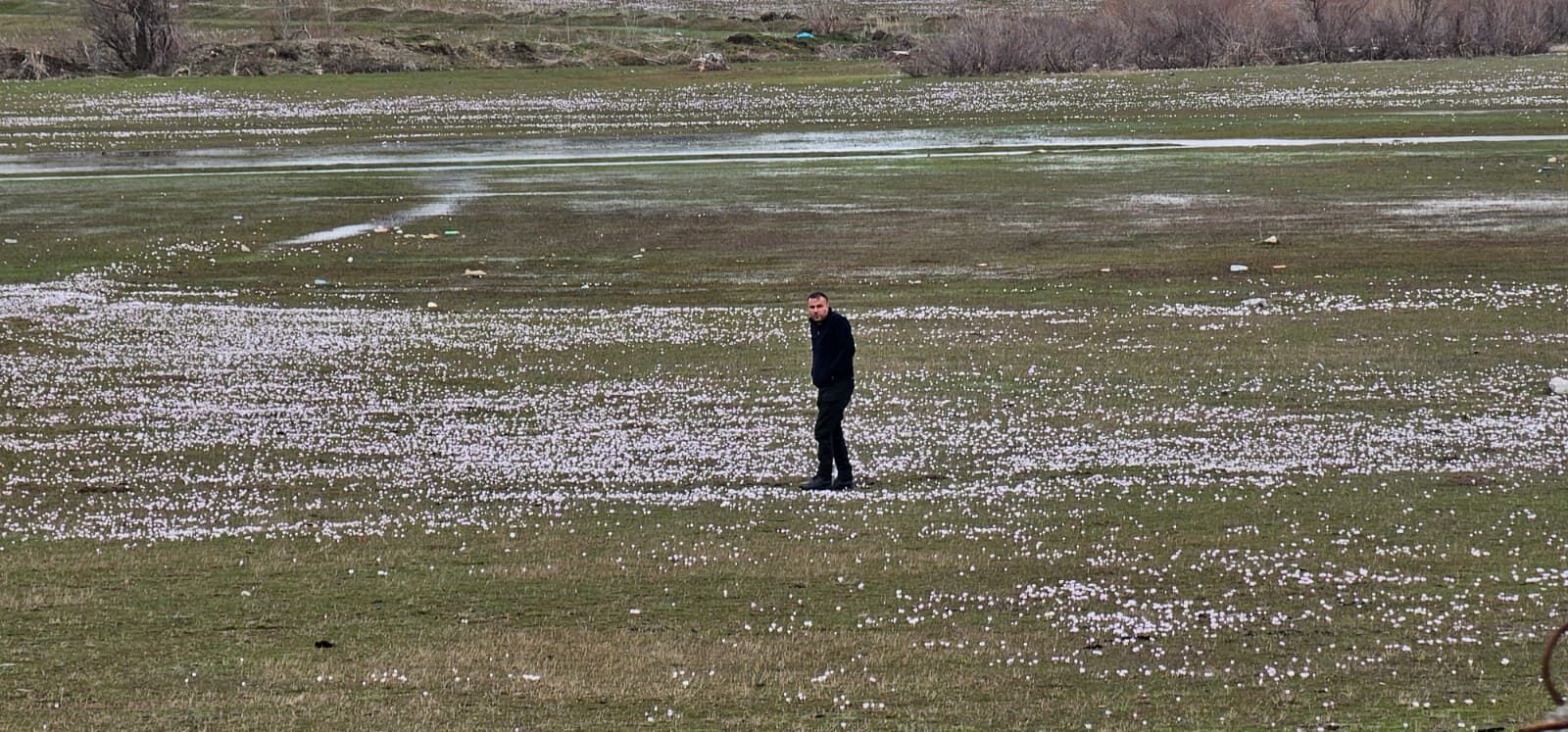 32Eef2B4 6740 4Fa9 Ab93 C71E4Eb2C4Ab