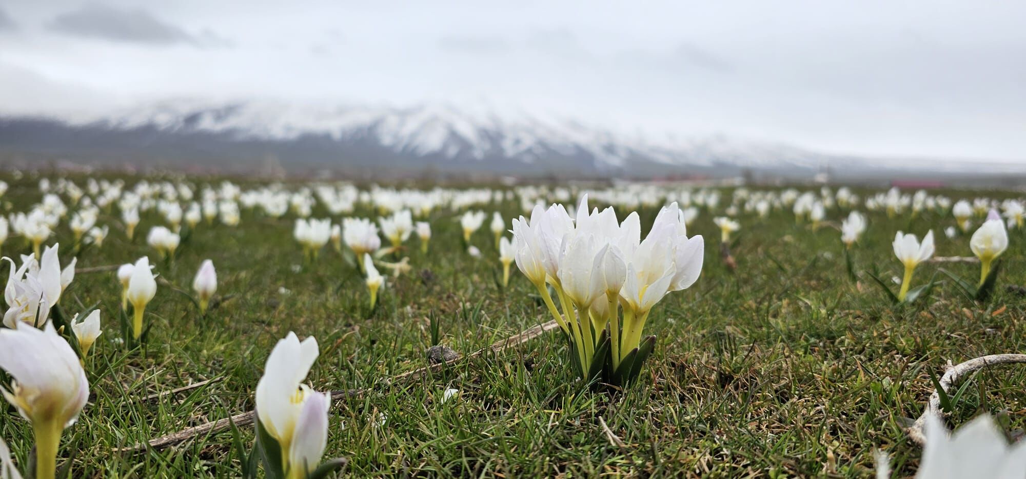 3A97Cfa5 9Edd 49Ee 8050 0E6C1B9D9C01