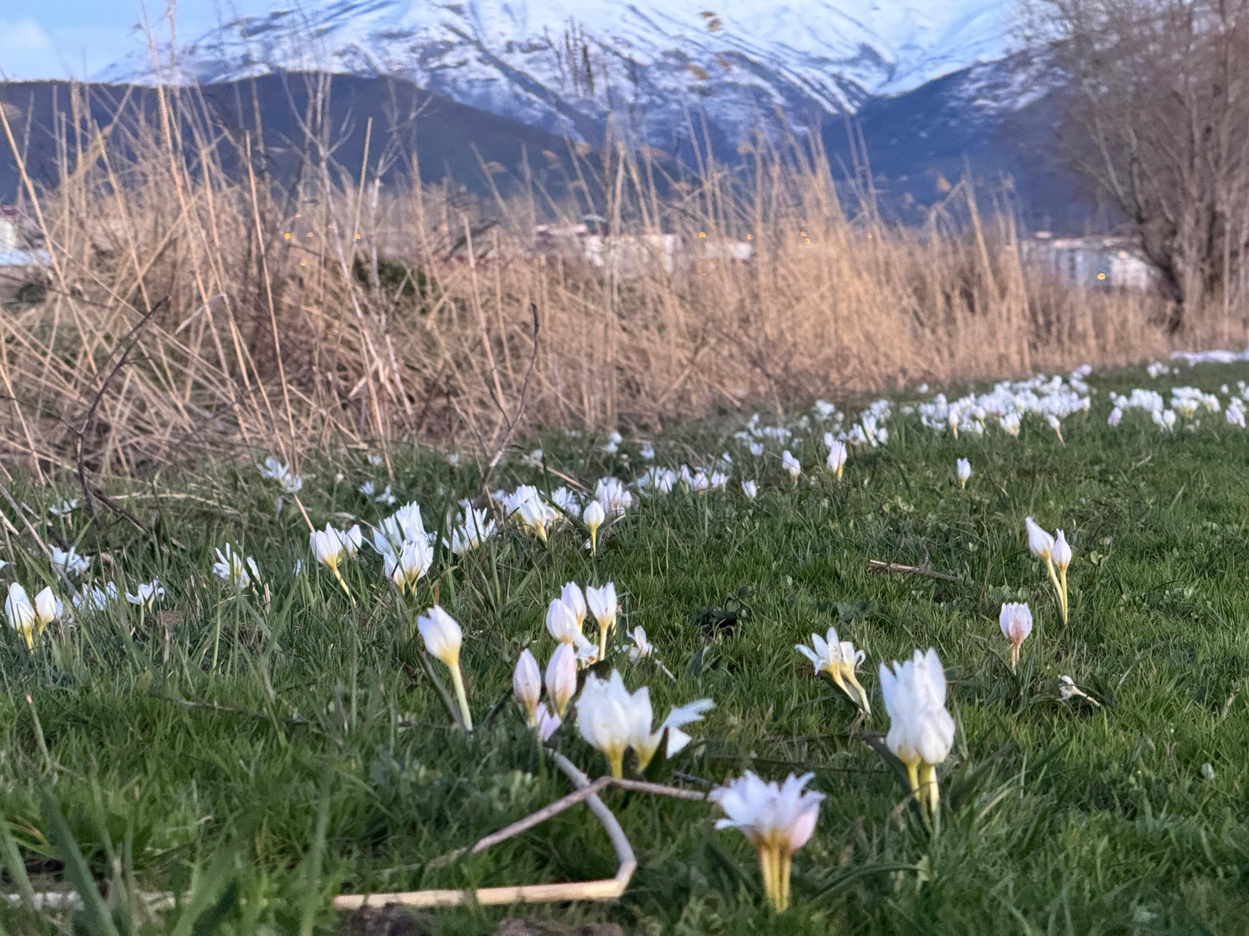 41583824 988F 46Af 8Efc E951174Cebc3