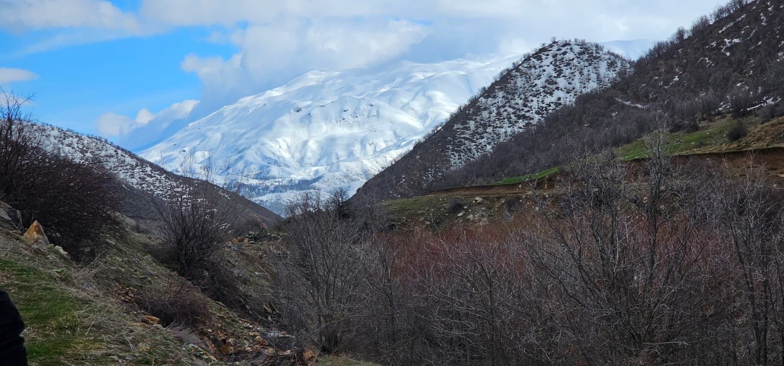 59A52932 4Db6 4205 A736 5Dcac2153183