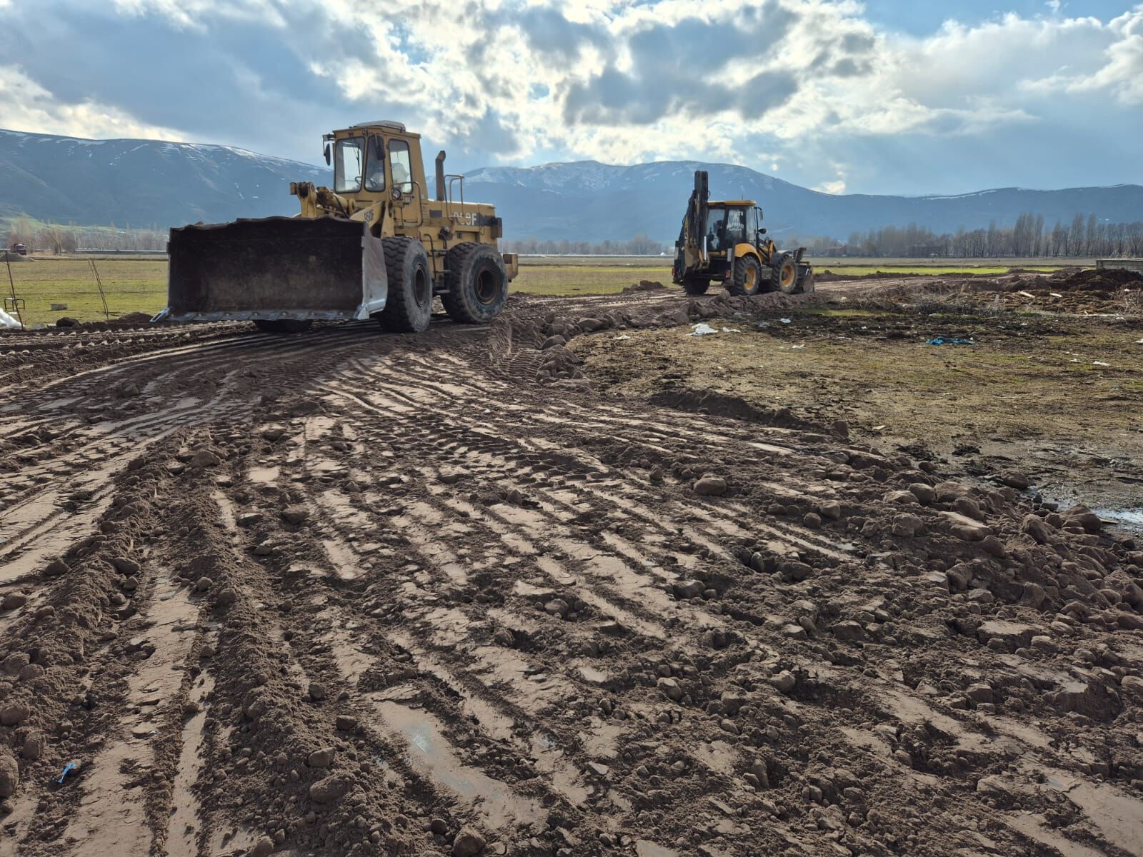 80E5Eefb D5Ab 4Acf A4De 3F388E840886