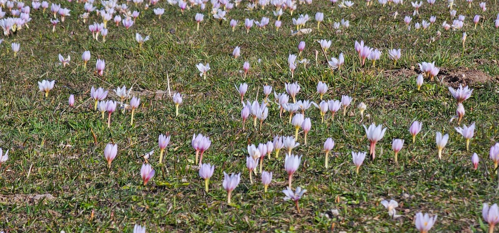 Cbcd1A70 5B11 4Db3 B898 5F1400C33E3B