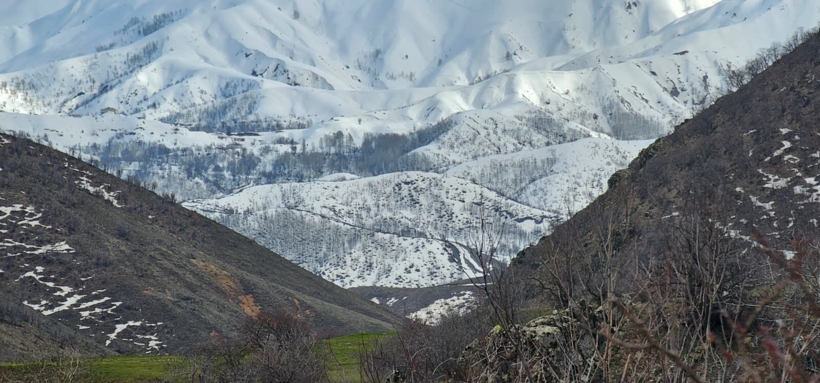 E3Fe70Ff F4Cc 4637 Bfbb 468B4Aca3A17