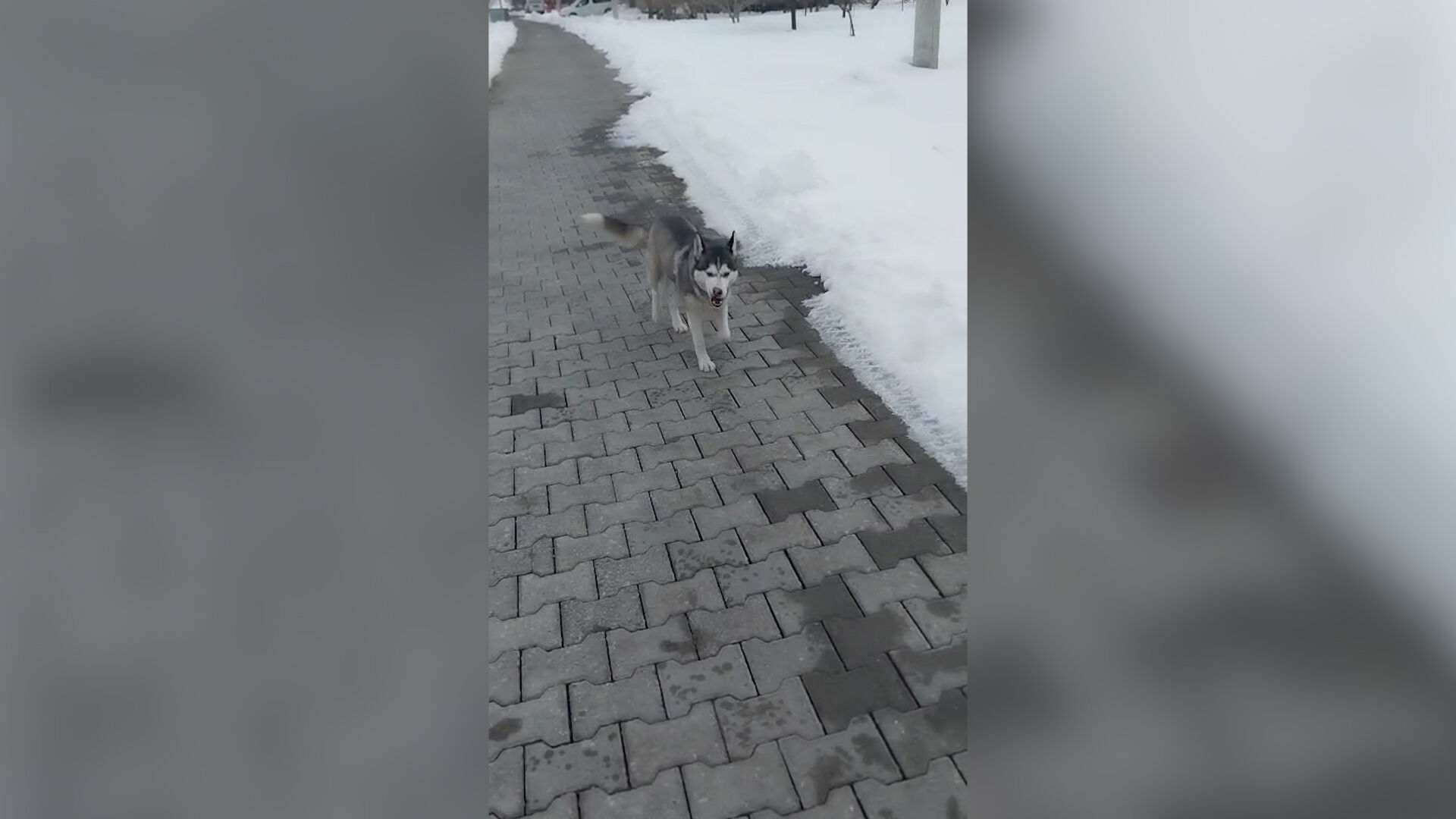 Sequence 01.00 00 07 27.Still002