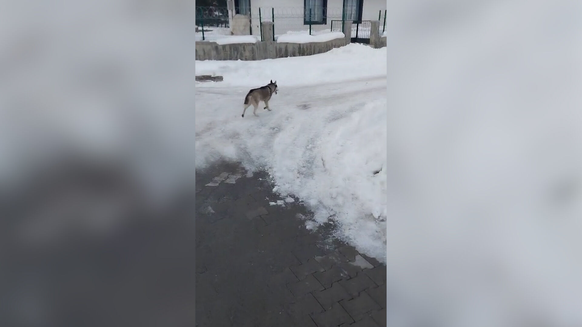 Sequence 01.00 00 31 47.Still003