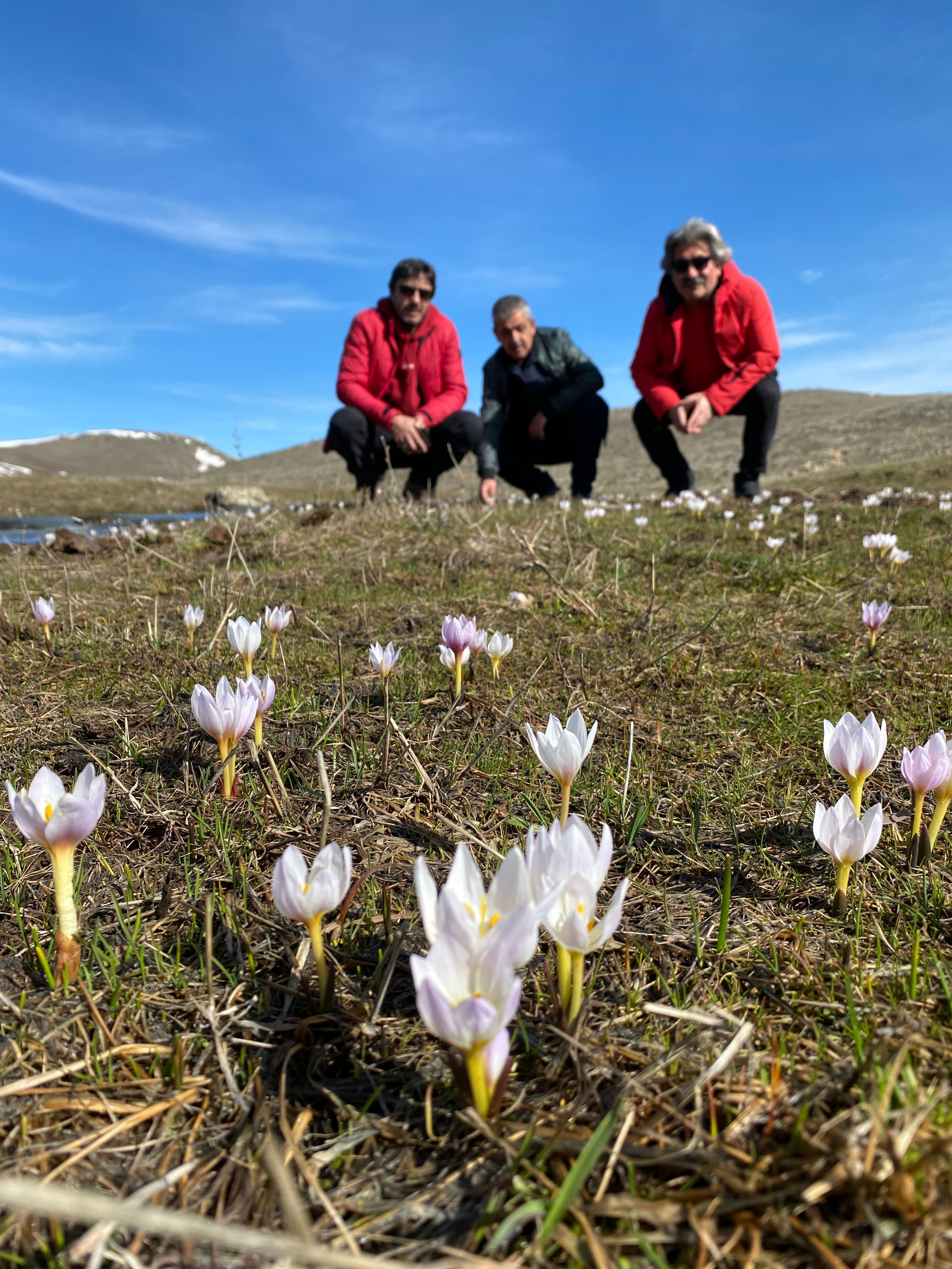 I M G 20260405 W A0047