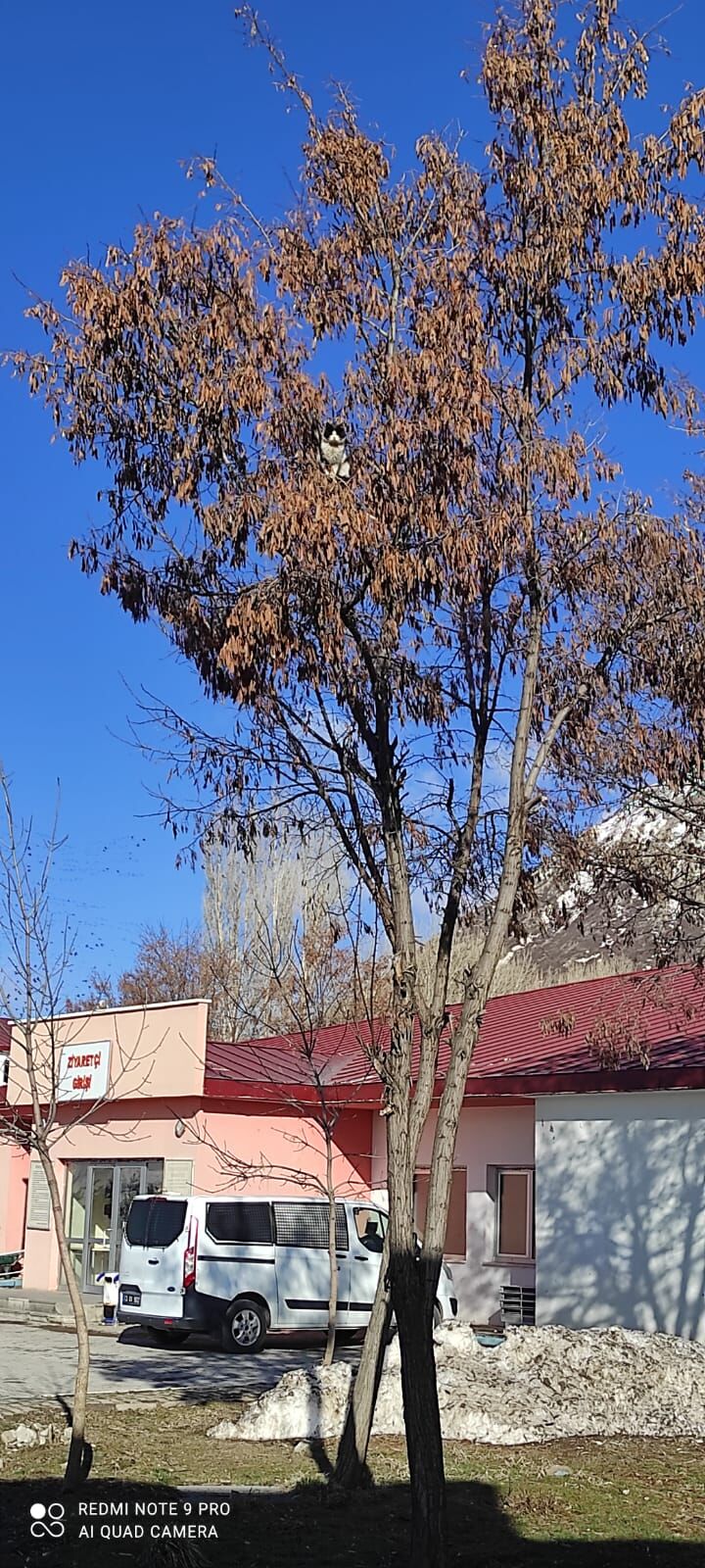 Whatsapp Image 2026 04 05 At 18.08.40