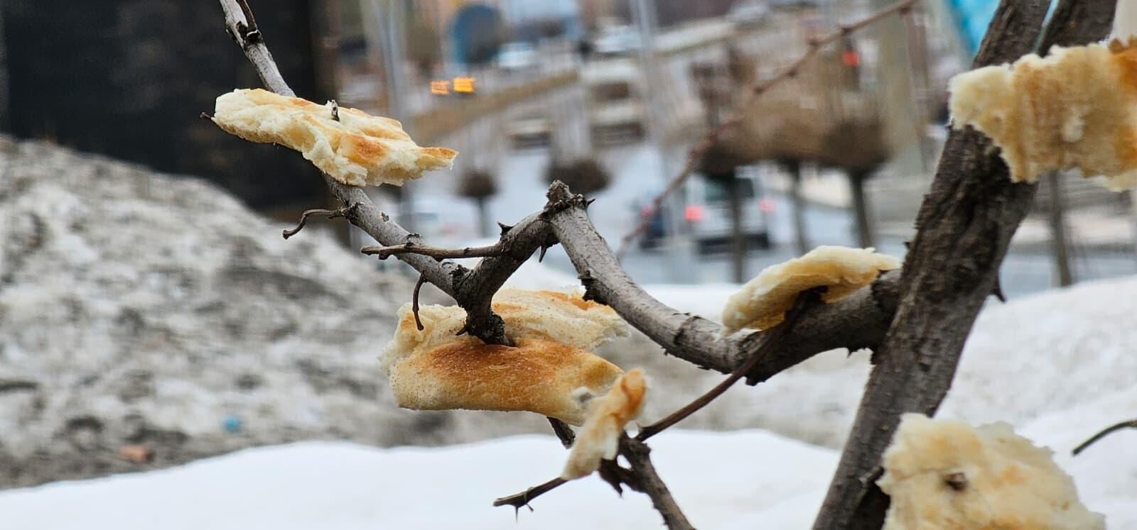 Whatsapp Image 2026 04 08 At 22.46.01 (6)