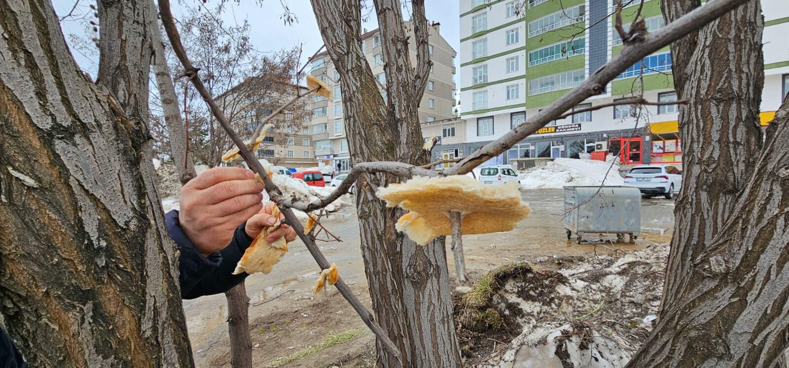 Whatsapp Image 2026 04 08 At 22.46.02 (1)