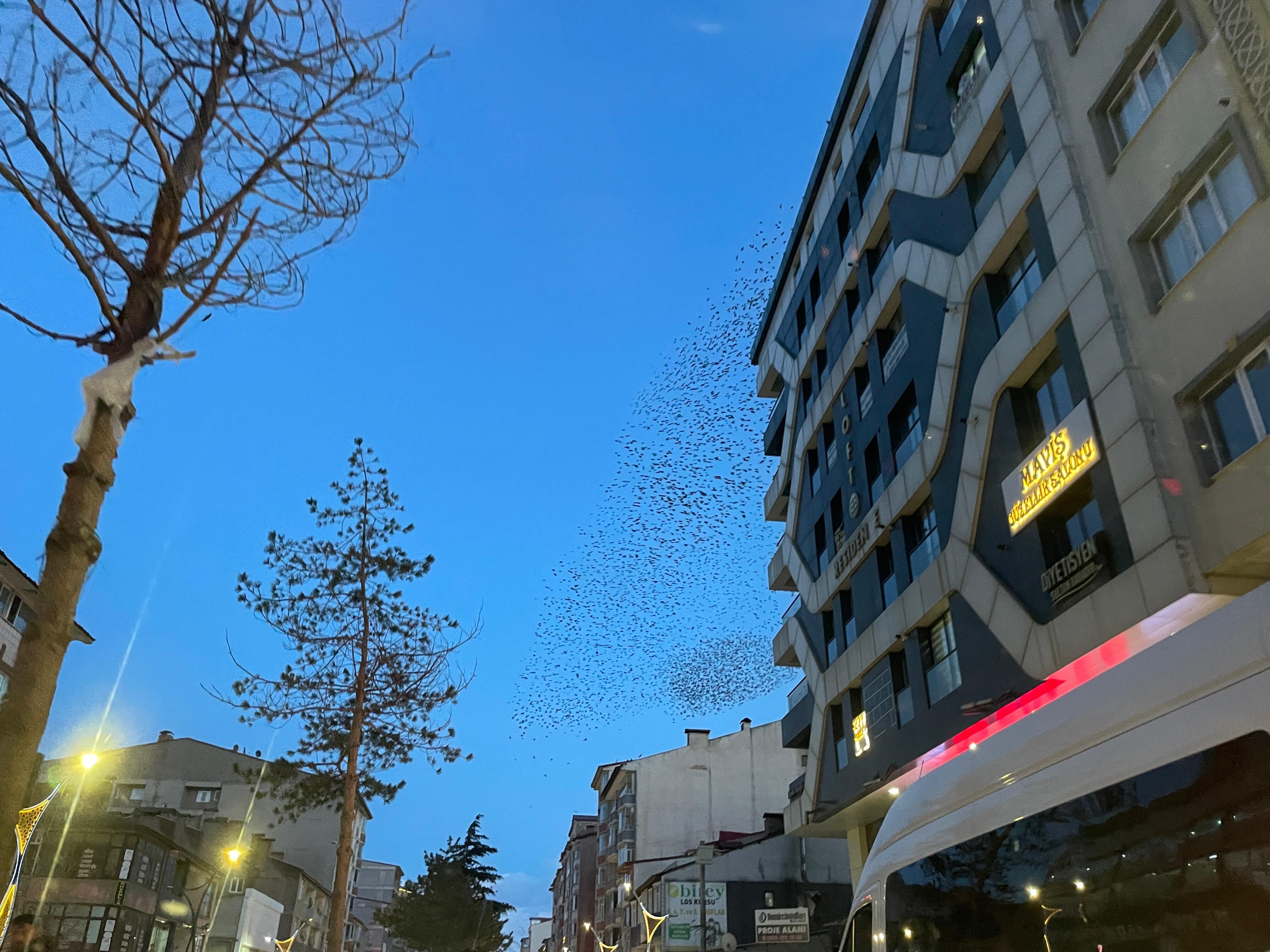 Whatsapp Image 2026 04 08 At 22.46.02 (7)