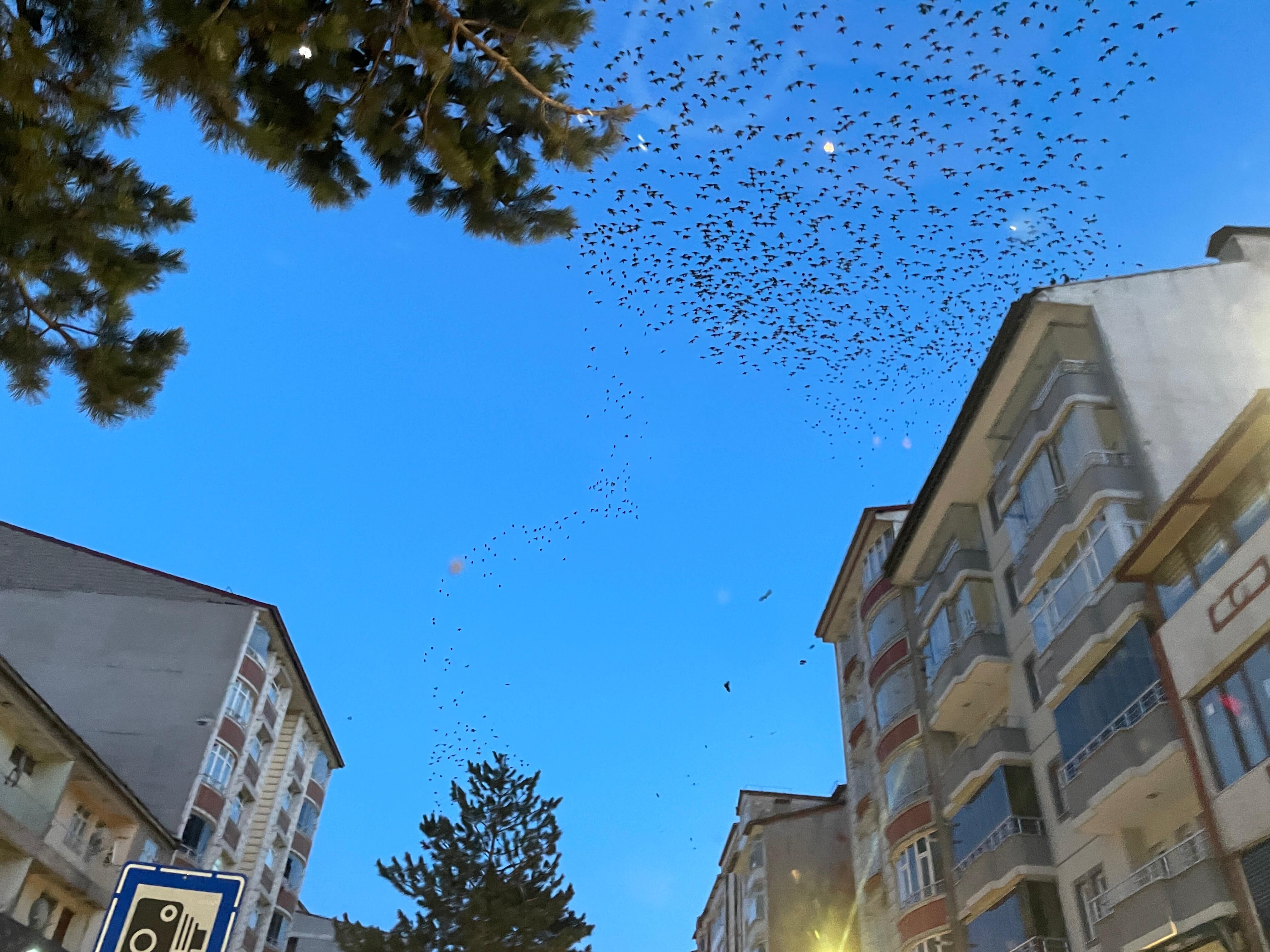 Whatsapp Image 2026 04 08 At 22.46.03 (1)