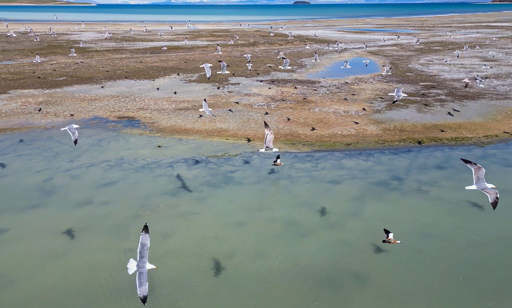 Whatsapp Image 2026 04 11 At 12.53.07 (1)