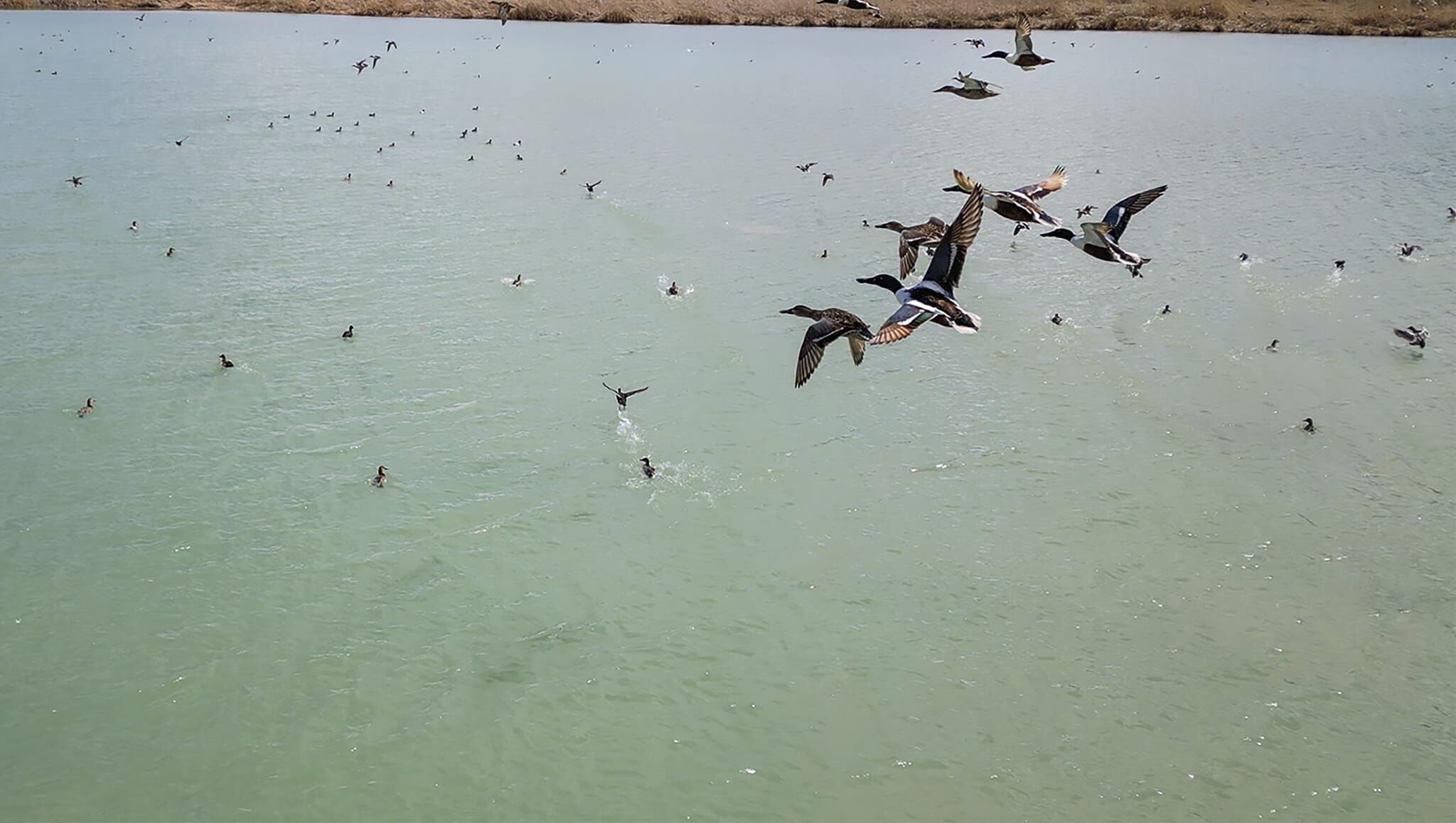 Whatsapp Image 2026 04 11 At 12.53.07