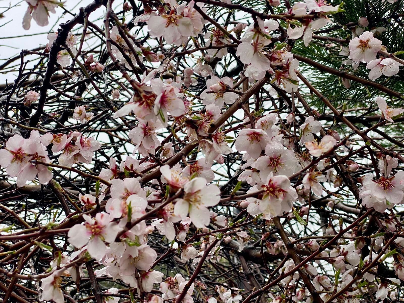 Whatsapp Image 2026 04 11 At 21.16.49 (1)