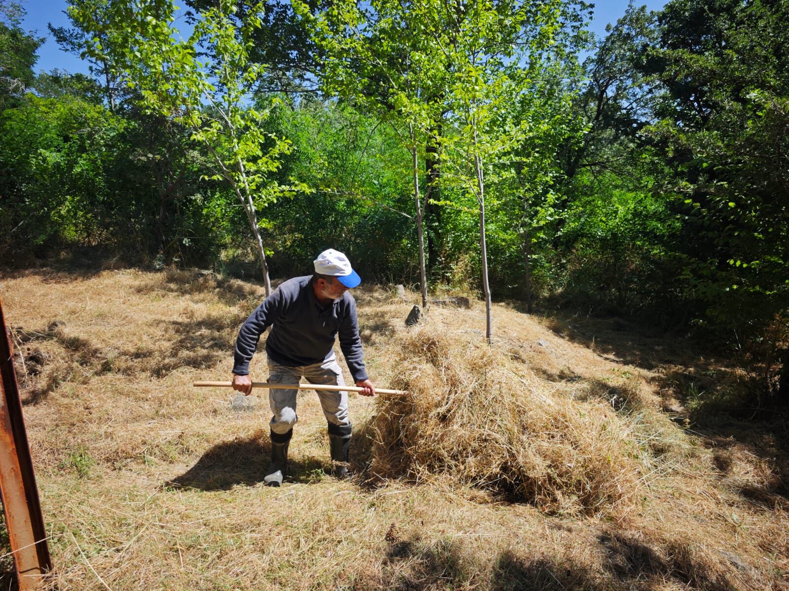 H Nuw1Mb Xw A A N F Sz