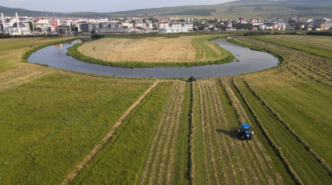 Ardahan'da hasat mesaisi havadan görüntülendi