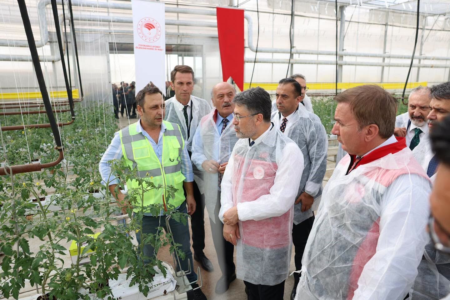 Bakan Yumaklı, Erzincan'daki jeotermal sera alanını inceledi