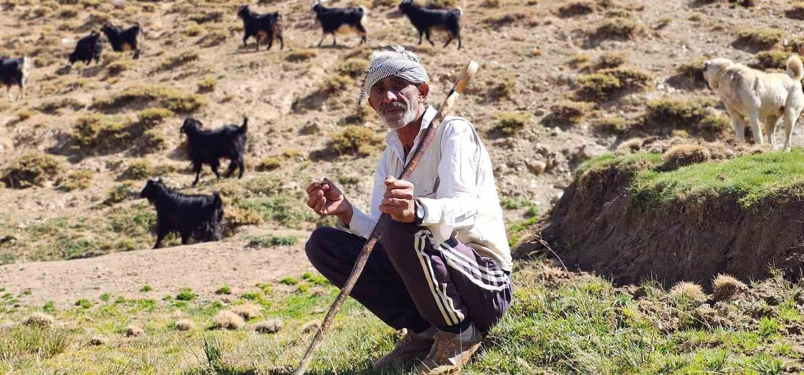 Bursa'dan köyüne döndü: 5 yılda 110 küçükbaş hayvanlık sürü kurdu
