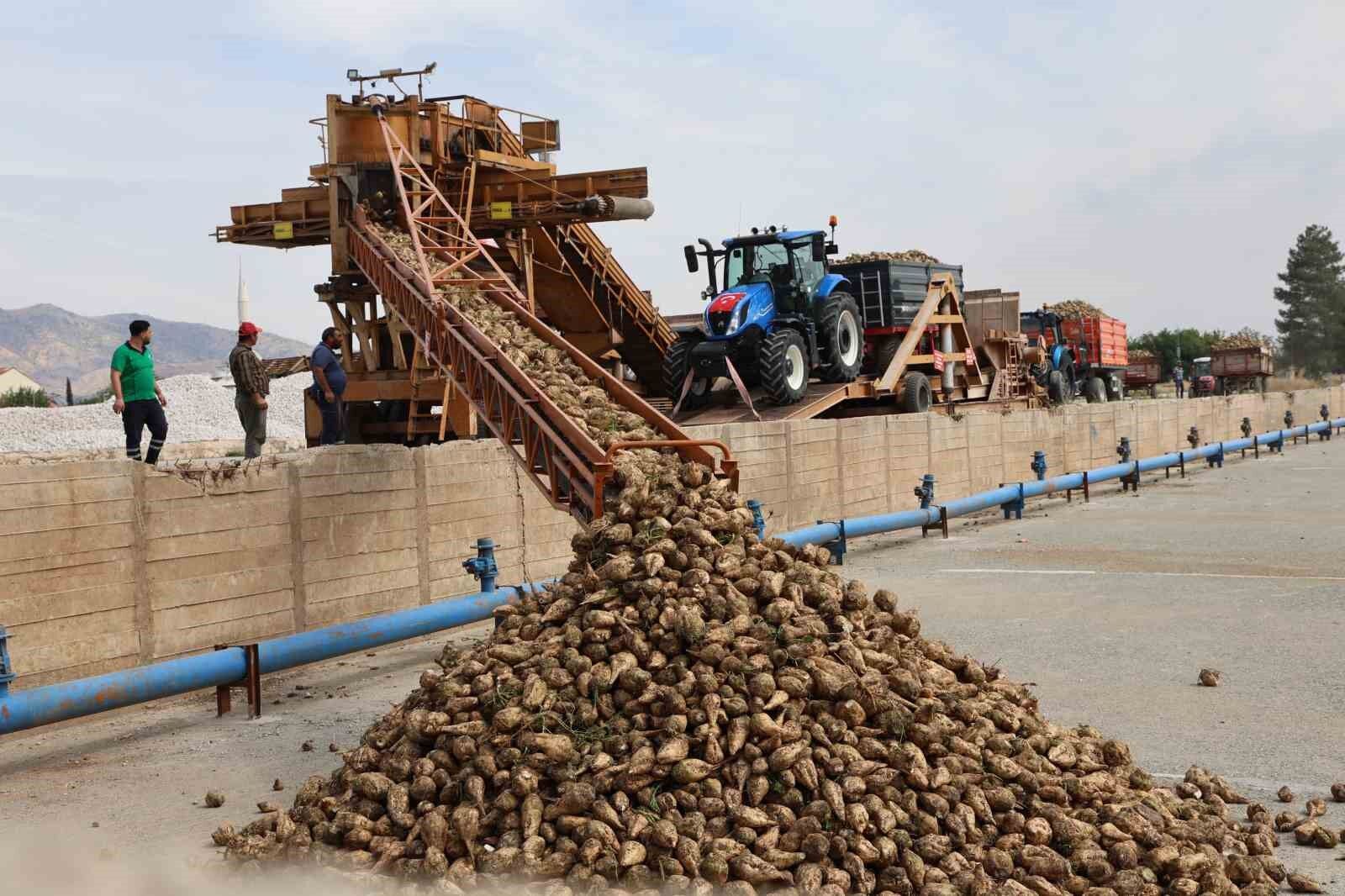 : Elazığ'da şeker pancarı mesaisi başladı: 240 bin ton pancar işlenecek