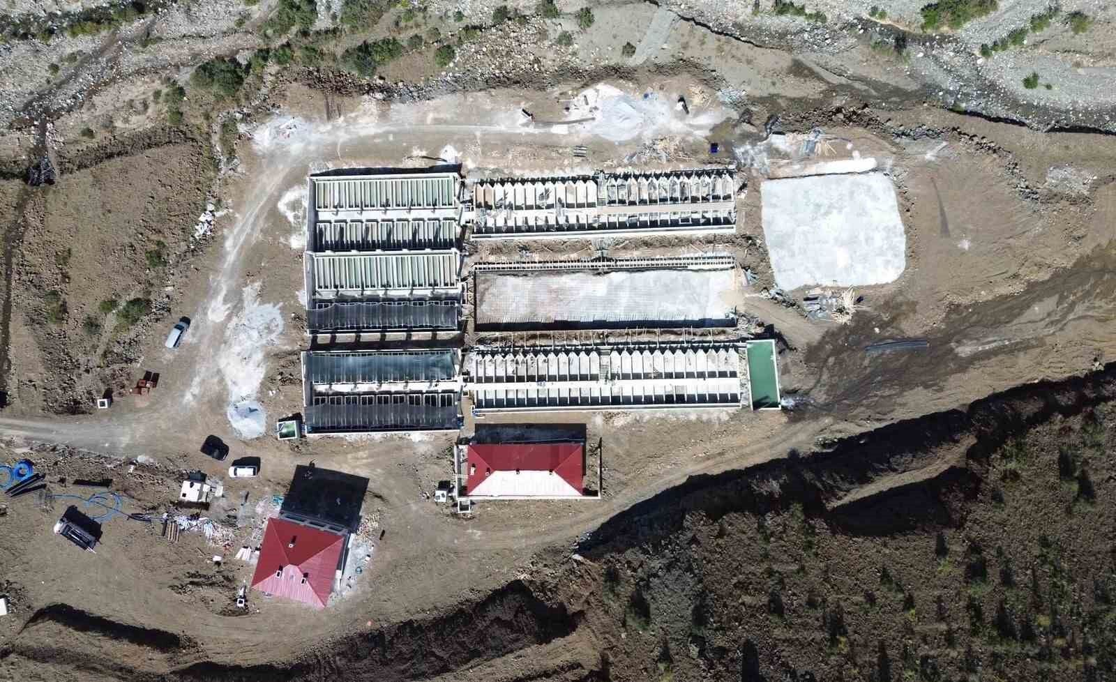 Erzincan'dan 18 ülkeye somon yolculuğu