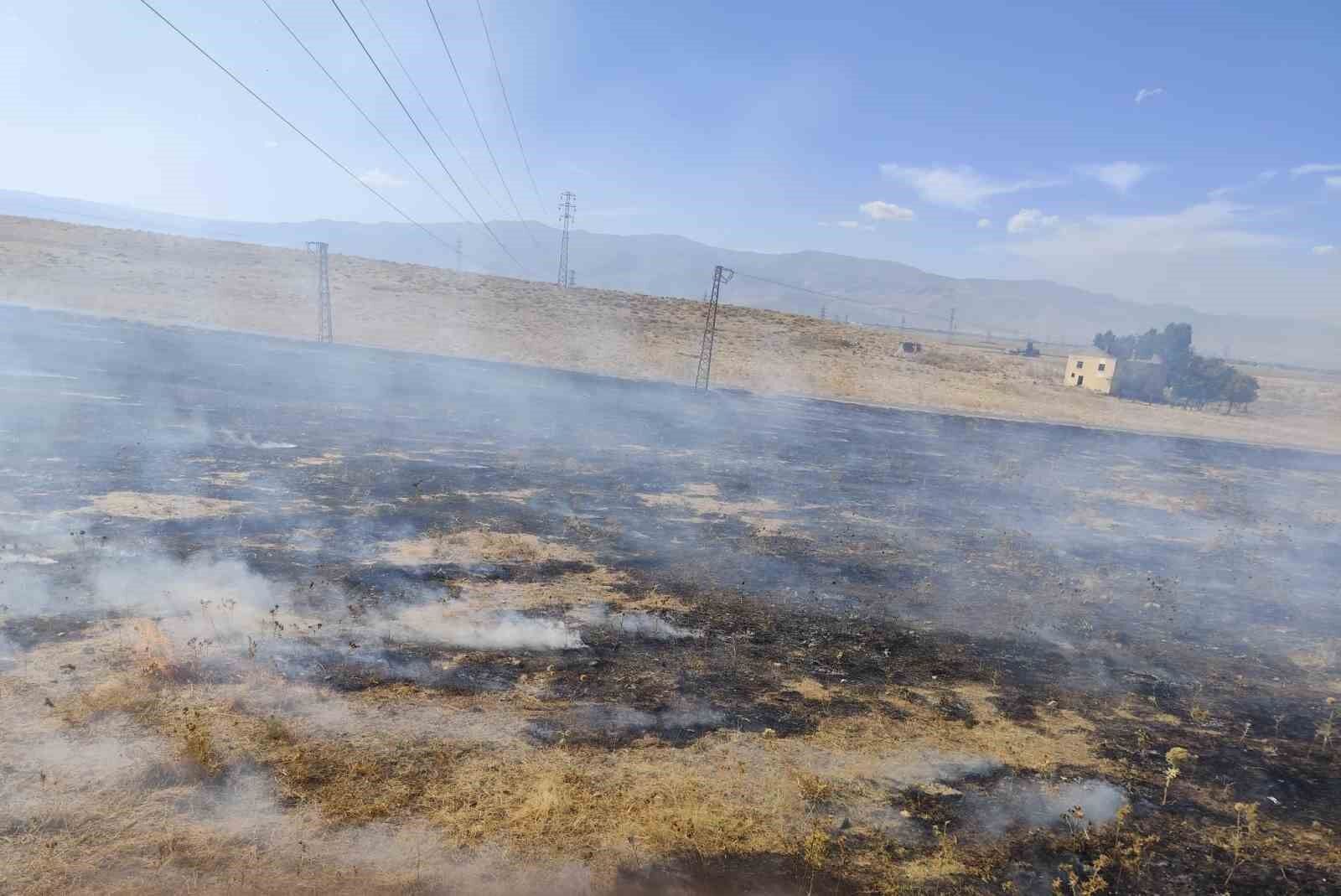 Muş'ta iki bölgede çıkan anız yangınları söndürüldü