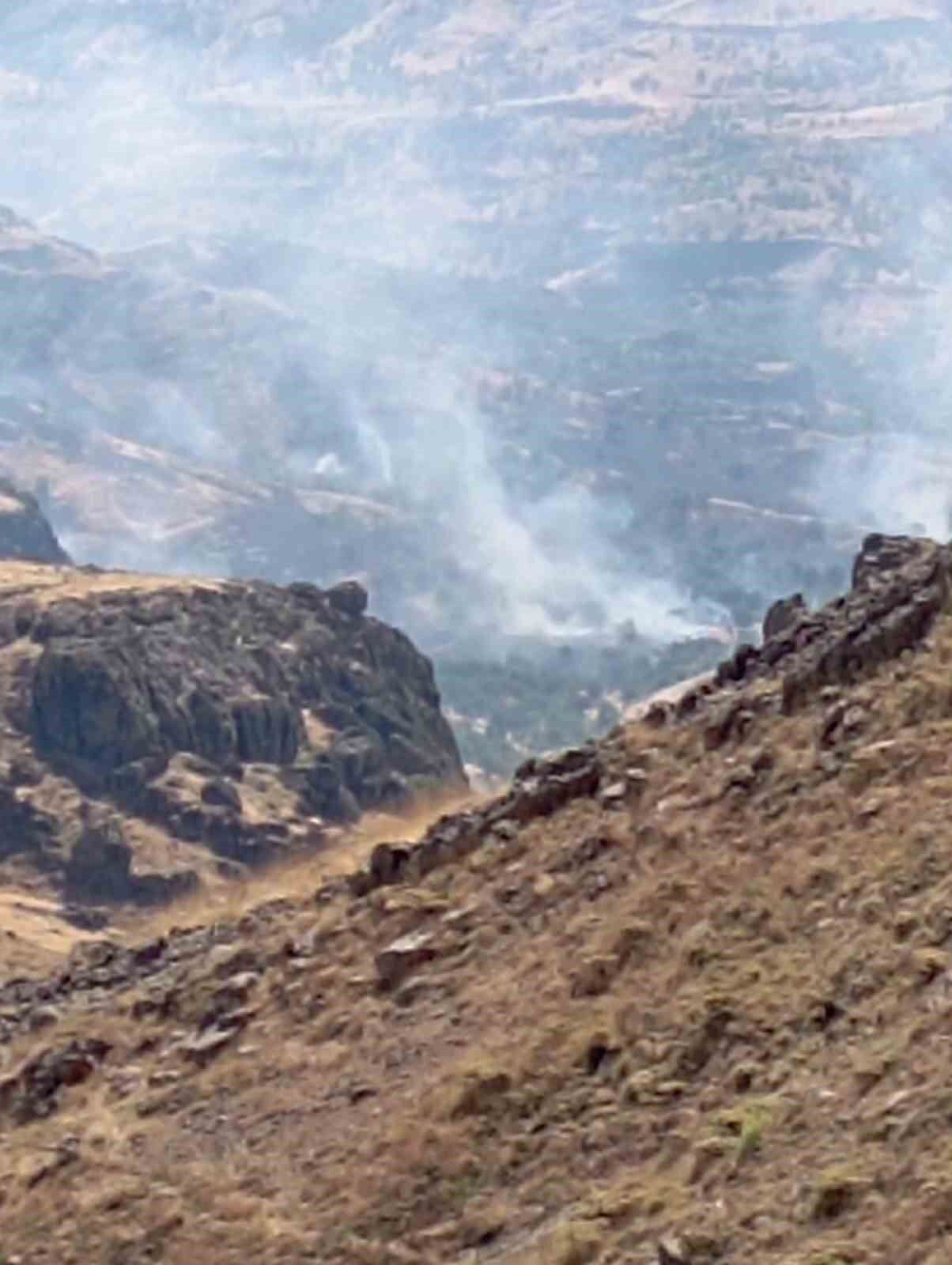 Nazımiye'de orman yangınına havadan ve karadan müdahale