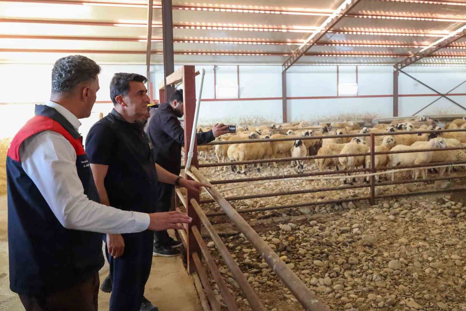 Tunceli'de kırsal kalkınma destekleri üreticiye güç veriyor
