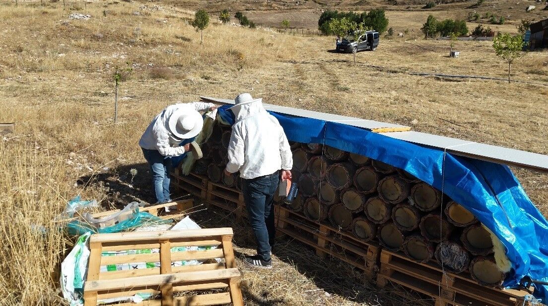 Tunceli'de yüzyıllık arıcılık geleneği yaşatılıyor