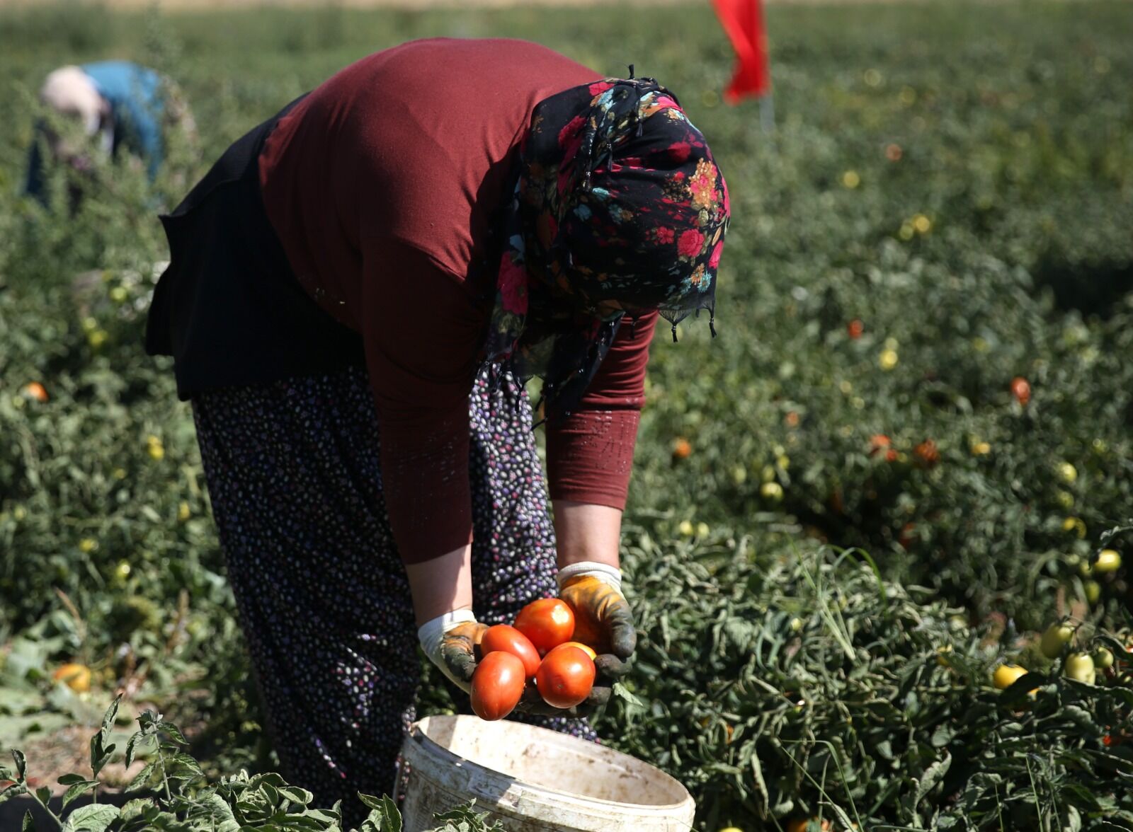 Whatsapp Image 2026 09 03 At 15.19.51 Kopyası 2